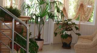 Гостевой дом Villa Angelina Алушта-5